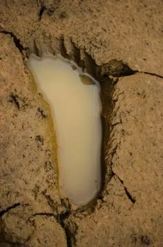 Vestige of memory 스톡 사진