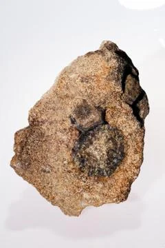 Vesuvianite mineral Stock Photos