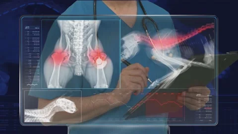 Vet Doctor  Video stock 200182373