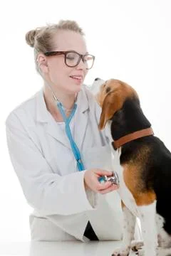 Vet with dog Stock Photos