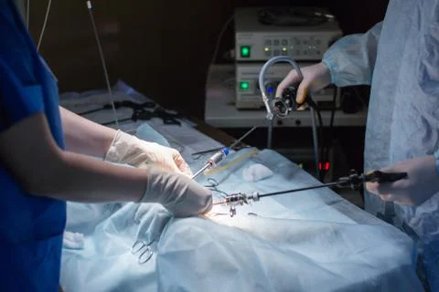 Vet doing the operation for sterilization. The cat on the operating table in a Stock Photos