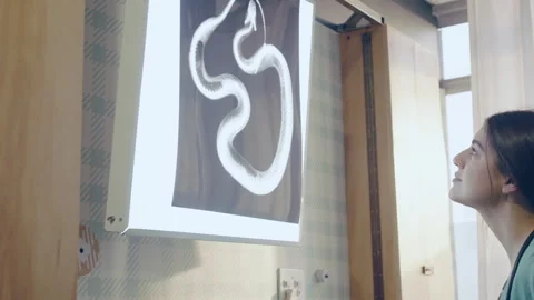Vet looking at an xray of a snake on the wall Stock Footage 279319193
