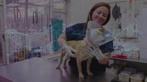 Vet tech placing dog on exam table for medical check, listening with stethoscope Stock Footage 333105358