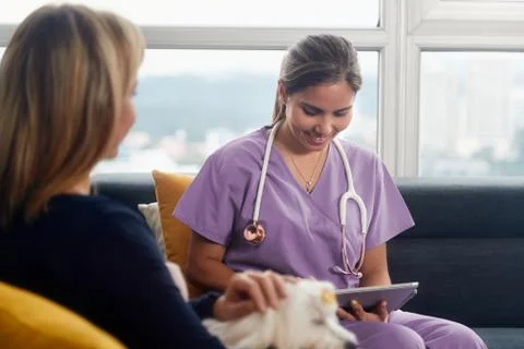 Vet Using Tablet Computer During House Call With Dog Foto stock