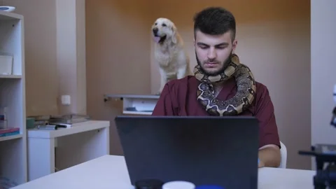 Vet working on laptop with python snake over neck Stock Footage 92049516