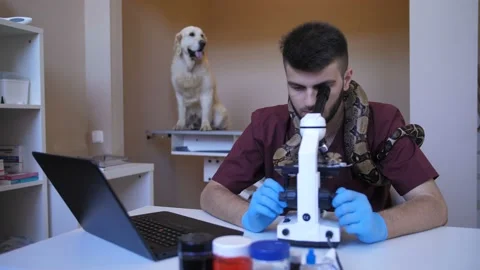 Vet working on microscope and laptop at clinic Stock Footage 92050069