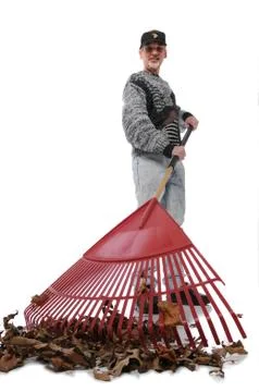 Veteran with leaf rake Stock Photos