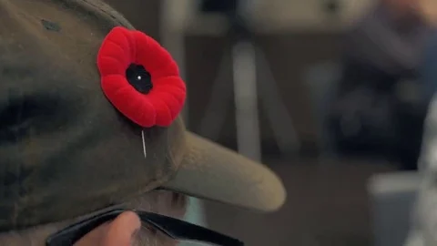 Veteran poppy Vídeos de archivo 69141971