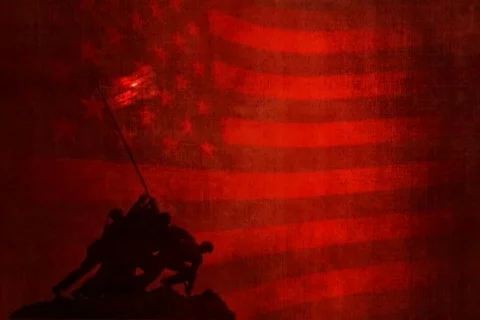 Veteran Salute Stock Footage 335555