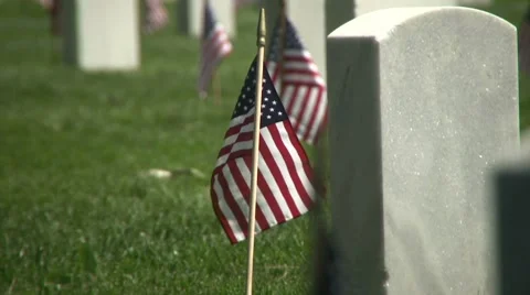 Veterans Cemetery Video stock 7139049
