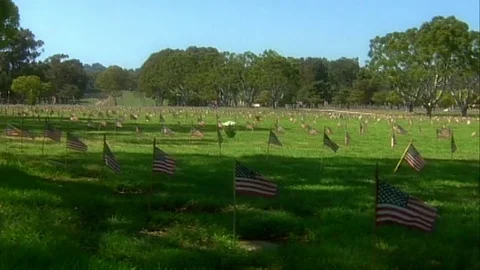 Veterans cemetery on Memorial Day Stock Footage 76435541