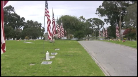Veterans Day Stock Footage 43968038