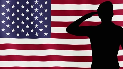 Veteran's Day Stock Footage 151258785