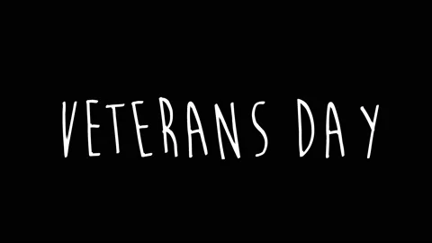 Veterans day Video stock 180915980