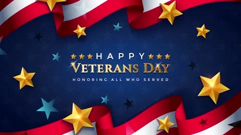 Veterans Day Stock Footage 220879787