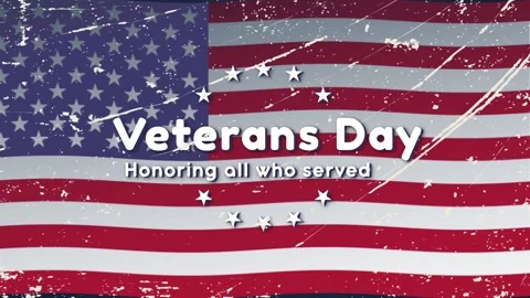 Veterans Day Stock Footage 220879788