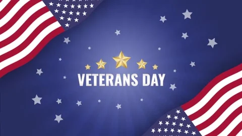 Veterans Day Stock Footage 220879801