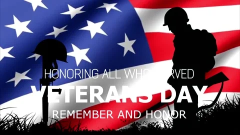 VETERANS DAY #IR 3 Stock Footage 209643306