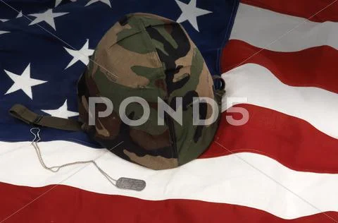 Veteran's day Stock Photos