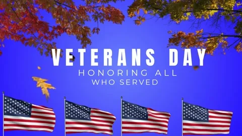 Veterans day video animation Stock Footage 268528445