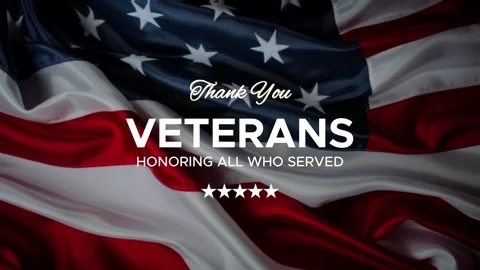 Veterans Day(1) Stock Footage 246454713
