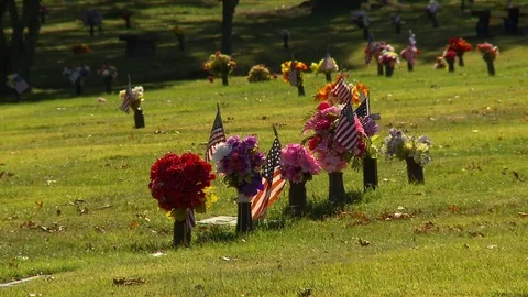 Veterans Graves Flags Flowers Stock Footage 81335515