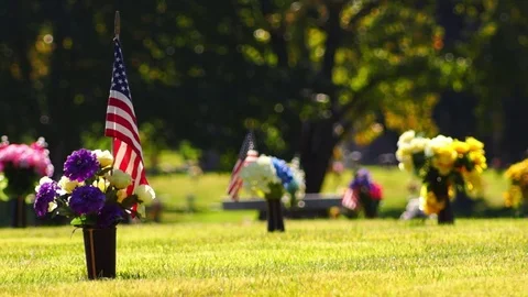 Veterans Graves Small Flags Flowers Stock Footage 81303627