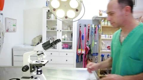 Veterinar doctor looks into microscope in veterinary Stock-Footage 62829076