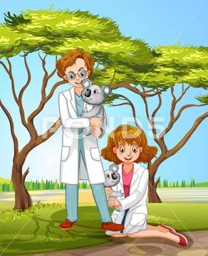 Veterinarian and Coala in Forest Stock Illustration