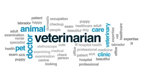 Veterinarian animated word cloud, text design animation. Stock Footage 80474905