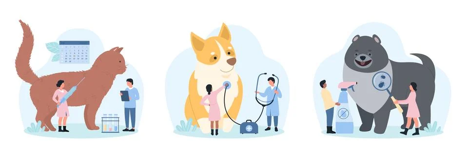 Veterinarian appointment set by tiny doctors with stethoscope and magnifying Stock Illustration