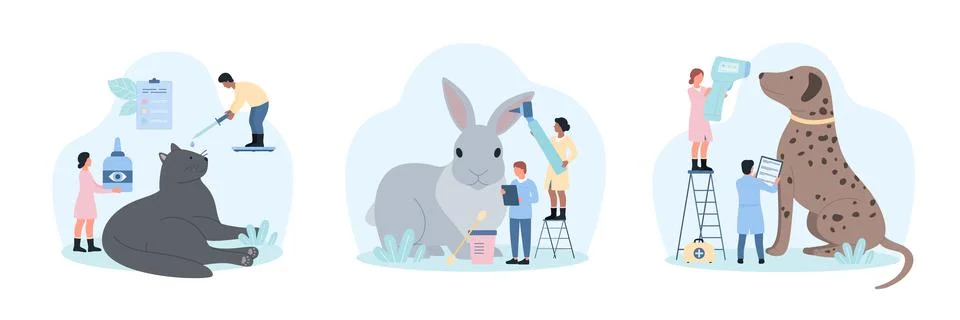 Veterinarian appointment set by tiny doctors with otoscope and infrared Stock Illustration