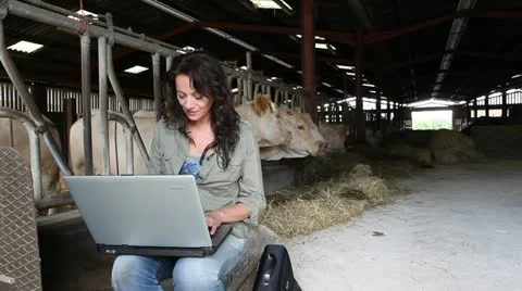 Veterinarian in barn with laptop computer Video stock 14832070