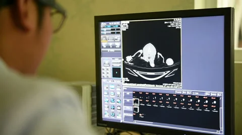 Veterinarian doctor working Stock Footage 44287280