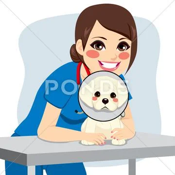 Veterinarian Dog Collar Stock Illustration