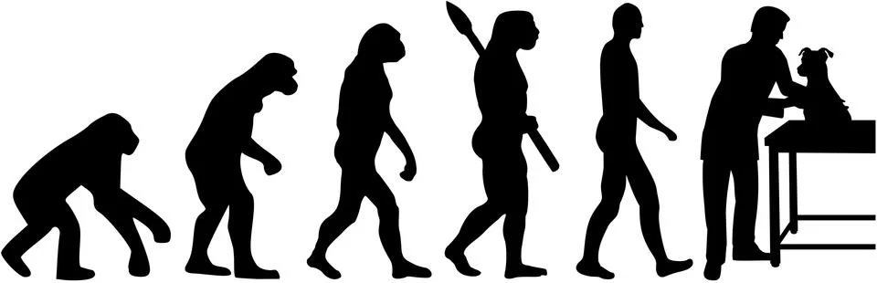 Veterinarian evolution Stock-Illustration