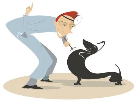 Veterinarian Stock Illustration