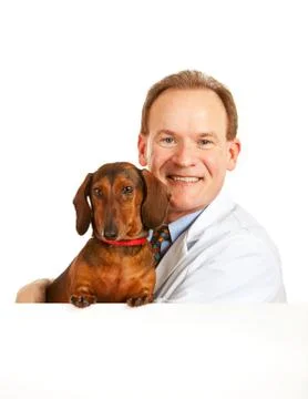 Veterinarian: Stock Photos
