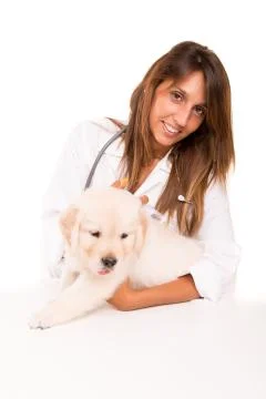 Veterinarian Stock Photos