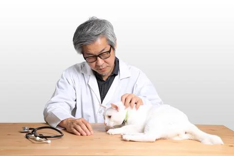 Veterinarian Stock Photos