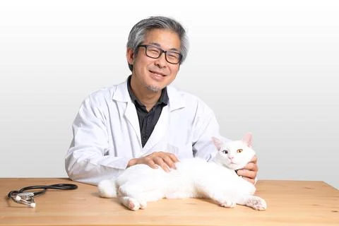 Veterinarian Stock Photos
