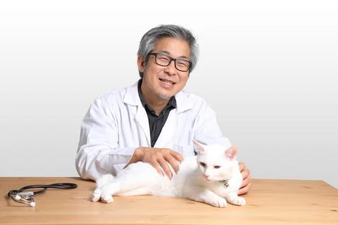 Veterinarian Stock Photos