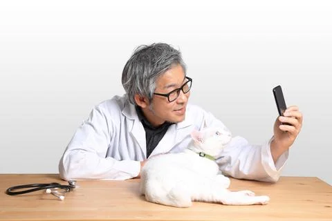 Veterinarian Stock Photos