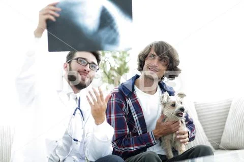 Veterinarian showing an x-ray to the owner of the dog. Stock Photos
