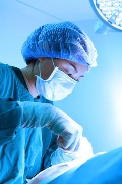 Veterinarian surgery in operation room Stock Photos