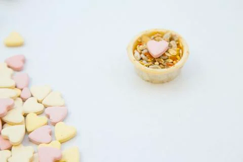 Veterinary and curing concept Stock Photos