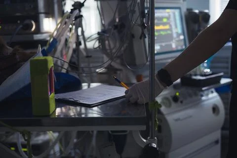 A veterinary anesthetist in gloves makes notes on a sheet during a surgical Foto stock