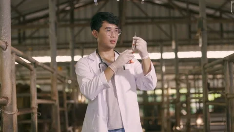 Veterinary Asian man in protective uniform preparing syringe for vaccination  Stock Footage 203752608