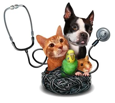 Veterinary Care Иллюстрация
