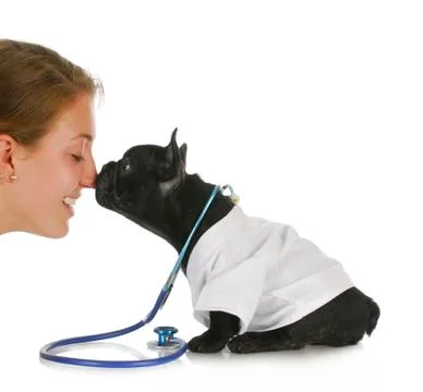 Veterinary care Stock Photos